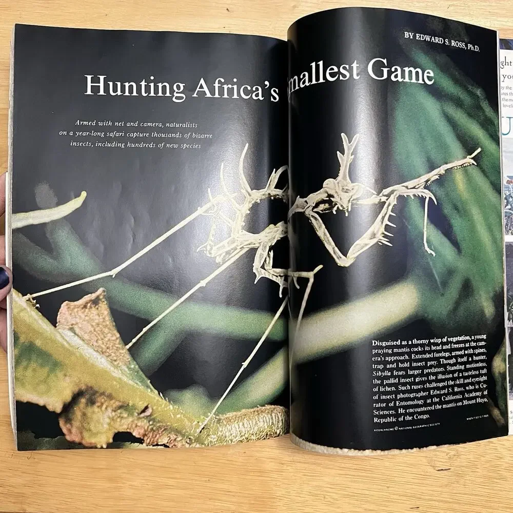 National Geographic national geographic